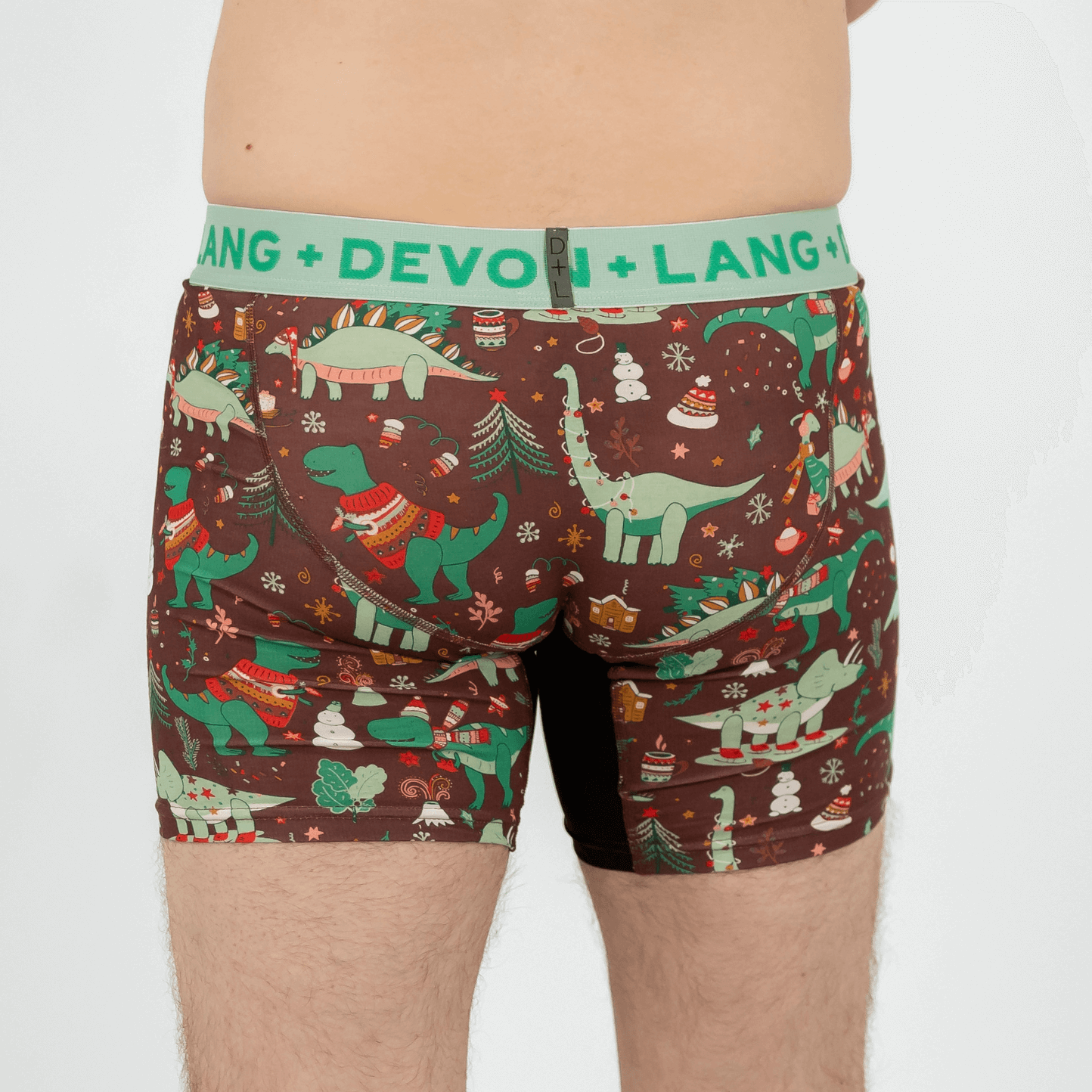 Journey Boxer Brief - Chilly Dinos