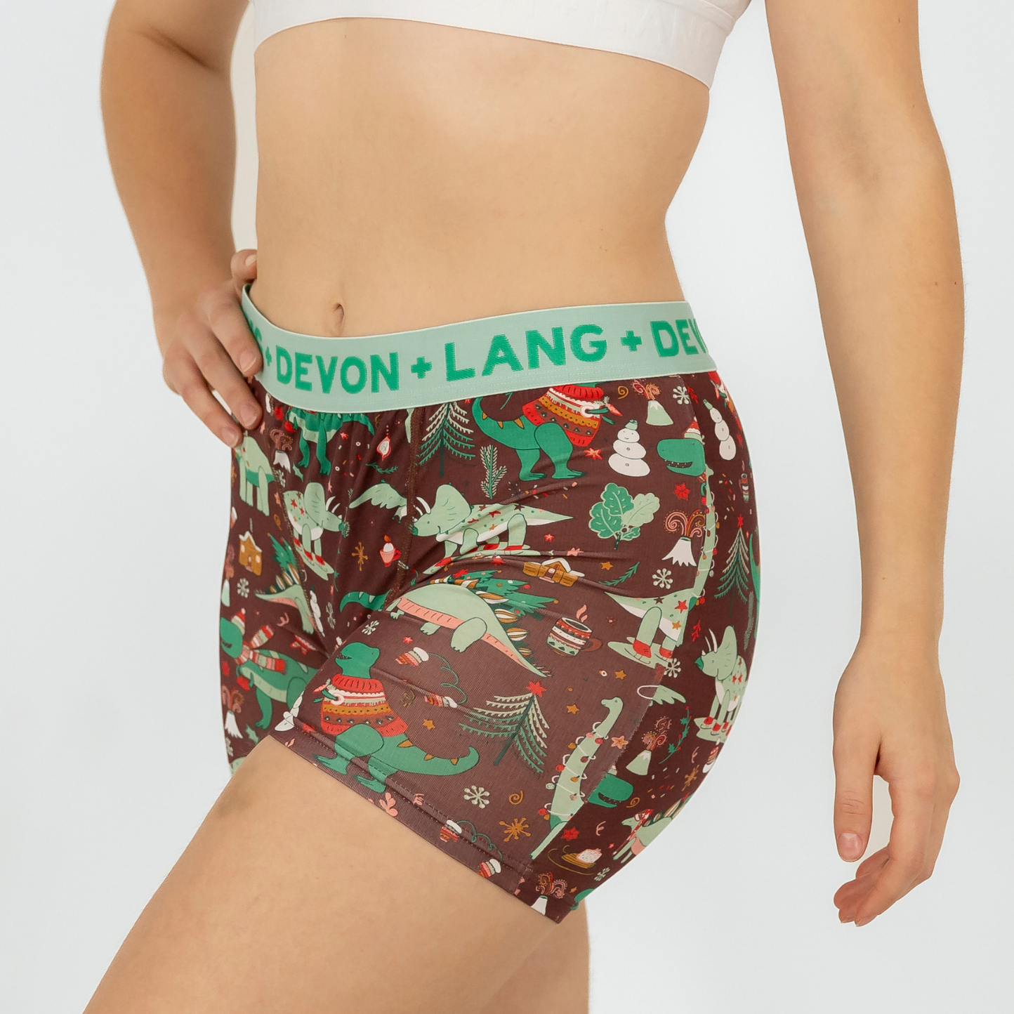 Bria 2.0 Boxer Brief - Chilly Dinos