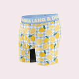 Journey Boxer Brief