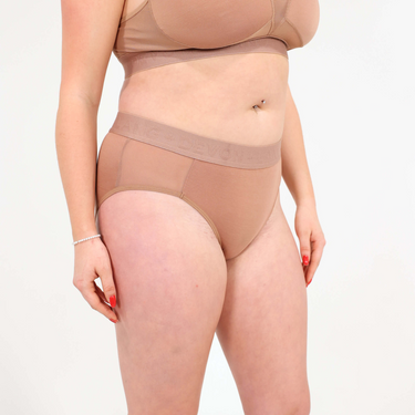 Bria Bikini Brief - Mesh Panels - Bronze