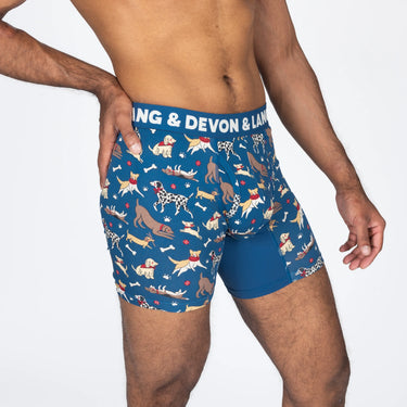 Journey Boxer Brief | Dog Park