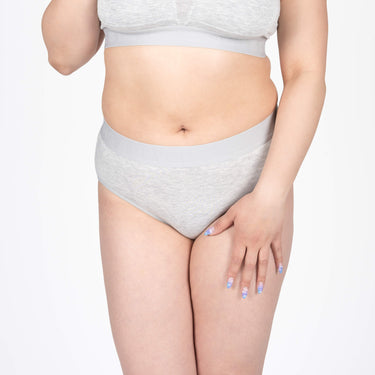 Bria Bikini Brief - Heather Grey