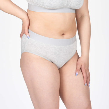 Bria Bikini Brief - Heather Grey