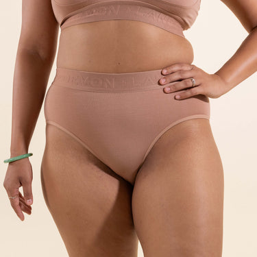 Bria Bikini Brief - No Mesh Panels - Bronze