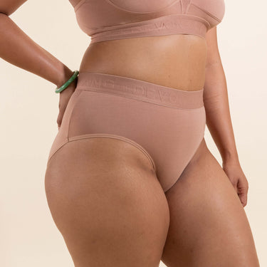 Bria Bikini Brief - No Mesh Panels - Bronze
