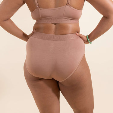 Bria Bikini Brief - No Mesh Panels - Bronze
