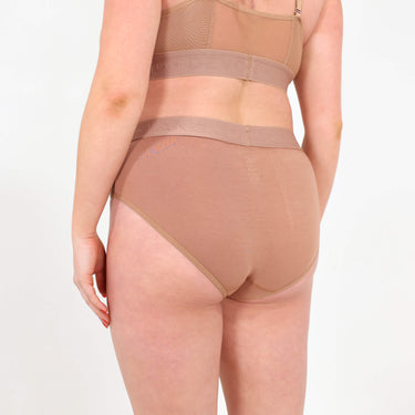 Bria Bikini Brief - Mesh Panels - Bronze