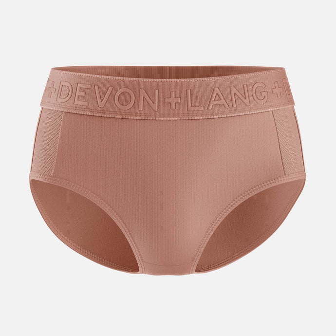 Bria Bikini Brief - Mesh Panels - Bronze